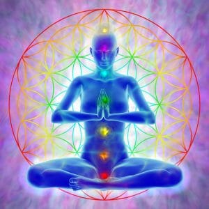 Judy Browne | Mind Soul Wellness | Symptoms Ascension