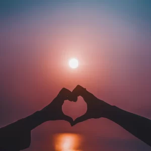 New Moon | Lions Gate | Expansion Calls