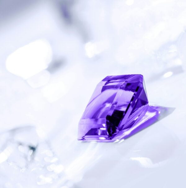 a purple flower on a white surface