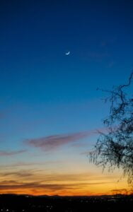 leafless tree under blue sky during daytime